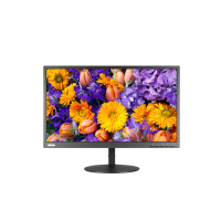 联想(ThinkVision) TE系列 23.8英寸电脑显示器 低蓝光 可俯仰 TE24-20