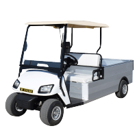 中菲宜达ZYDD2-H05 半吨电动货车工厂小区货站机场专用电动货物运输车超大续航型