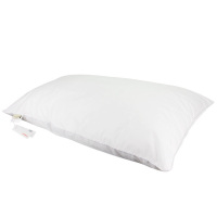 ANCHOW安巢ANCHOW安巢 五星假日羽丝枕AW10221