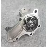 TRW 道氏 比亚迪 S6 2.4水泵
