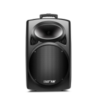先科(SAST)A90 15英寸大功率重低音广场舞音响 含2个话筒
