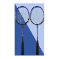 羽毛球拍 Hunter(副)