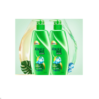 飘柔洗发水500ml