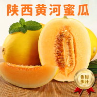 [西沛生鲜]陕西黄河蜜瓜 红肉蜜瓜 带箱5斤装 香甜可口 新鲜水果应季 西沛国产特产