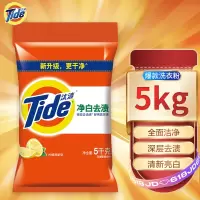 汰渍 Tide 5KG袋