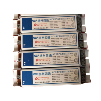 T82*58w 一拖二镇流器 (个)