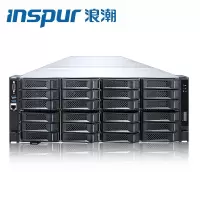浪潮 NF5468M5GPU服务器2颗5218/128G/2块4T
