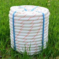 立顿(Lipton)尼龙绳 100m长20mm宽