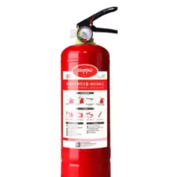 国泰 手提式干粉灭火器 3KG 车载灭火器