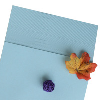 优必利 7070 卡纸 装订封面纸 230g 皮纹纸 云彩纸 彩色虎皮纹 打印纸 封皮标书A4复印纸 100张 浅蓝