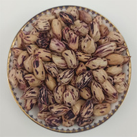 每日养胃软糯原生态 高花青素生食彩花生 两盒价