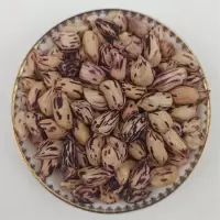 每日养胃软糯原生态 高花青素生食彩花生 两盒价