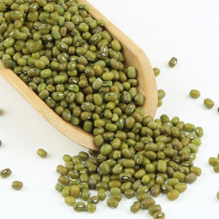龙鱼牌 绿豆 24Kg