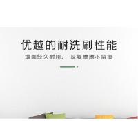 白云疯狂(BAIYUNFENGKUANG) 乳胶漆(单位:桶)