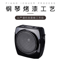 得 胜扩音器 E6 有线款