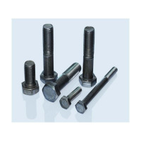 普通螺栓 M30*160 一栓一普通热打螺母双垫