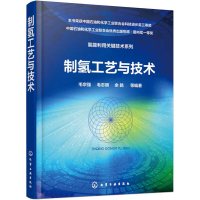 启珍 制氢工艺与技术 书籍教材