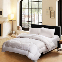 水星家纺DH清朗净醛抗菌羽丝绒II