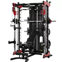 宝迪朗格BODYLONGER-康强BK509套装版移动飞鸟综合训练器健身器材龙门架举重床深蹲卧推杠铃架