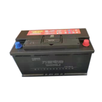 万里WANLI 6-QW-100 东风猛士电瓶