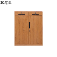 星岛办公室钢制文件柜铁皮柜资料柜落地柜带锁凭证柜档案柜子木纹柜子二斗下节柜胡桃木纹