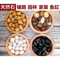 向物 精抛五彩鹅卵石 1-3CM 一元硬币大小 30斤装gk