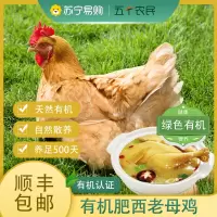 [五个农民]安徽 有机 肥西老母鸡1250g一只 一只装 养足500天 林地散养