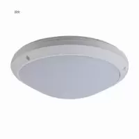 顶火 MD9301-12W LED吸顶灯 （计价单位：套）白色
