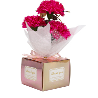 企业专享 创意康乃馨花束(带灯) 起订量100