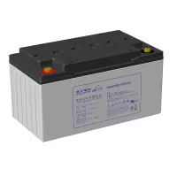 理士 DGM1265(12V65Ah) 胶体蓄电池白色(只)