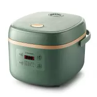 西屋Westinghouse电饭煲WRC-0516厨房电器
