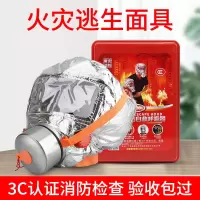 火焰战士 防毒面具 TZL30