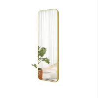雷业 全身穿衣镜框 50*160cm.(随机款)