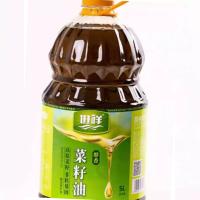 进祥 醇香菜籽油 食用油非转基因物理压榨营养强化油 5L /桶