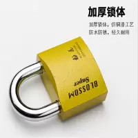 (中号)铜挂锁