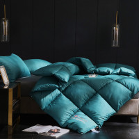 天琴杜邦科技仿羽绒被TQ-B076 200x230cm