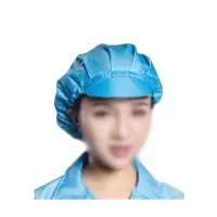 安赛瑞(SAFEWARE)透气型防静电帽子(5顶装)均码 蓝色 NZM