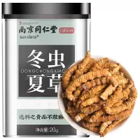 桑克拉冬虫夏草断草青海玉树非西藏那曲虫草20g/盒装