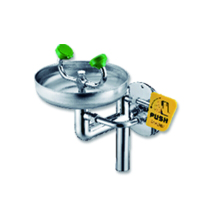 安赛瑞(SAFEWARE)墙面式洗眼器 304不锈钢原色 内置起泡器及滤泡棉 配防尘盖 NZM