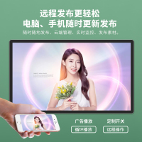 电梯广告机19寸 单机版