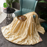 绿族皇家风情 蚕丝被 LZ-DB090802