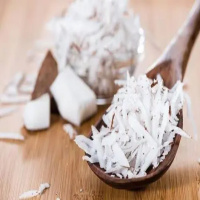 B2B-ZTE-国产椰蓉2.5KG/包