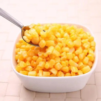 B2B-ZTE-地门粟米粒425g/瓶