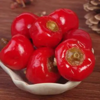 B2B-ZTE-国产灯笼泡椒1.5KG/桶