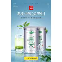 新茶明前特级嫩芽毛尖茶叶绿茶