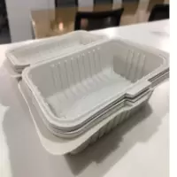 一次性饭盒 连体餐盒外卖打包盒饭盒可降解淀粉环保餐盒加厚连体盖17*22cm(单位:300个/箱)