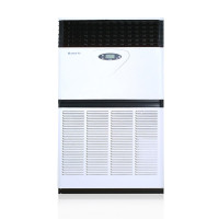 格力(GREE)10匹 380V 变频冷暖柜机 商用中央空调 RF28WPd/BNa