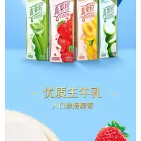 蒙牛真果粒牛奶饮品250ml*12盒整箱早餐奶乳酸饮料