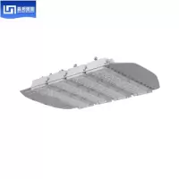森邦 LED道路灯 SPD717-100W 交货期10天(支)