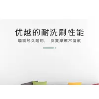 白云疯狂(BAIYUNFENGKUANG) 乳胶漆20kg(单位:桶)